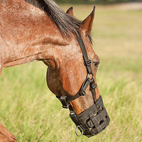 Grazing Muzzle Halter