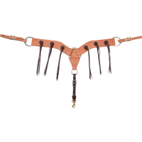 Harness with Rosettes and Strings