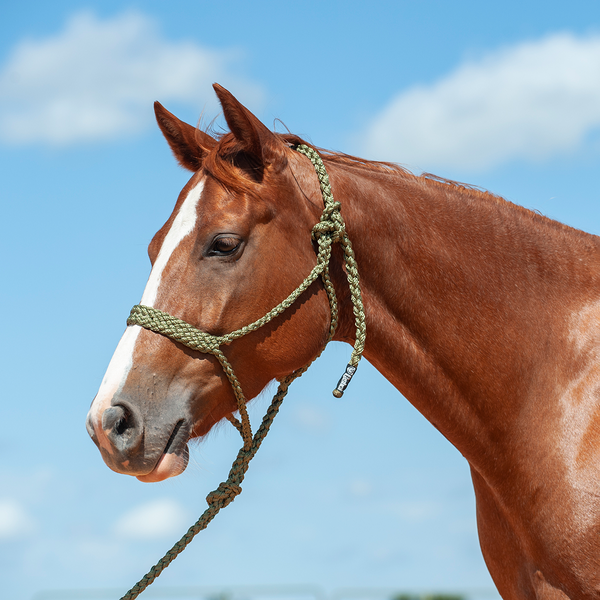 Soft Touch Flat Braid Adjustable Halter - Gass Horse Supply