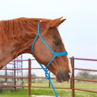 Colored Flat Braid Halter with Lead