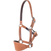 Harness Bronc Halter