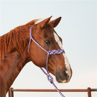 Colored Flat Braid Halter with Lead