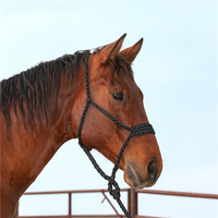 Wide Nose Flat Braid Halter with Lead