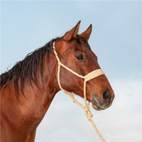 Wide Nose Flat Braid Halter with Lead